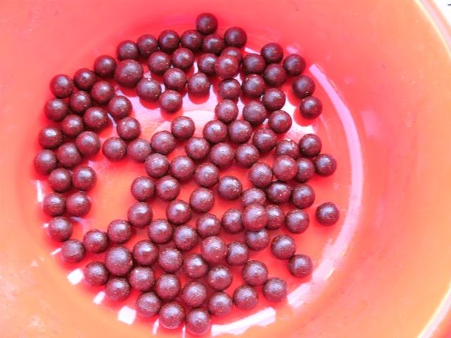 pregatiri - gedc0296.JPG